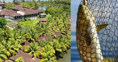 carpico resort : rewind kerala
