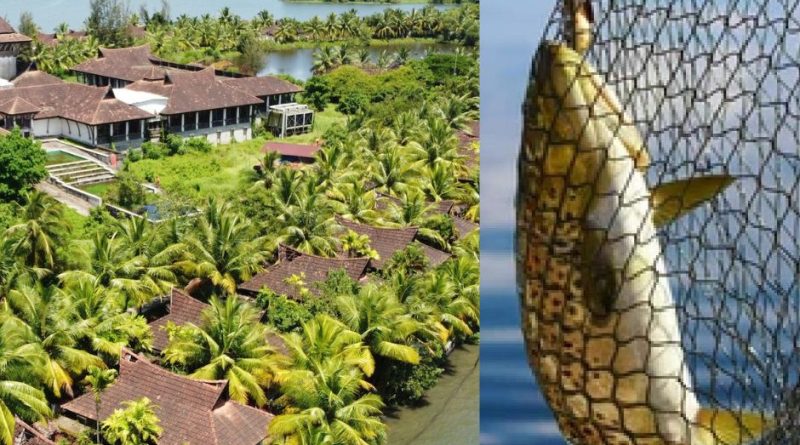 carpico resort : rewind kerala