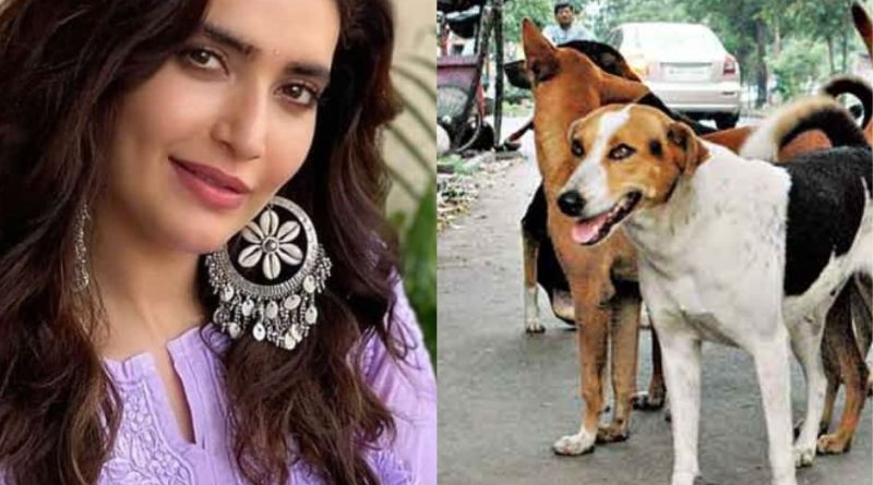 karishma thanna about kerala stray dogs