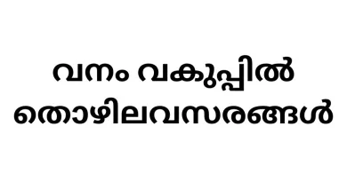 job-opportunities-in-kerala-forest-and-wildlife-department
