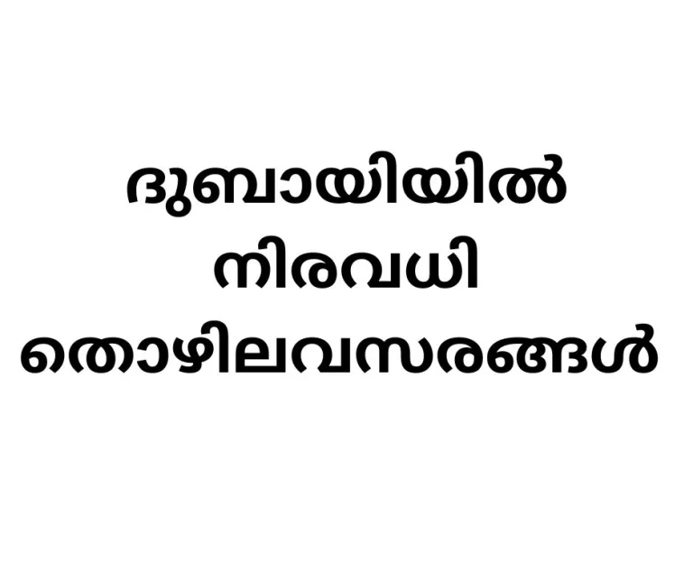 Exciting Job Vacancies Best Job Site In Kerala 10000 Jobs exciting-job-vacancies-best-job-site-in-kerala-10000-jobs