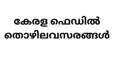 Government Job Vacancies in Kerala Fed: Accountant Position at KERAFED