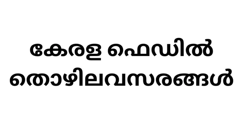 Government Job Vacancies in Kerala Fed: Accountant Position at KERAFED