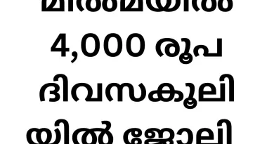 Job Vacancies in MILMA: Comprehensive Guide