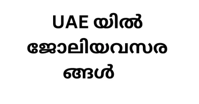 Job Vacancy in UAE: Exciting Opportunities at Gulfex Business Services