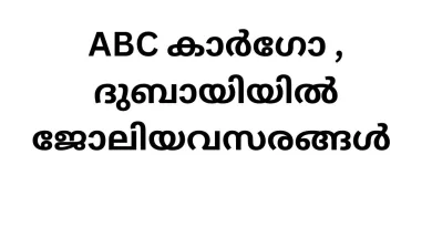 Job Vacancy in ABC Cargo: Exciting Opportunities Await in Dubai