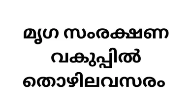 Job Vacancy in Directorate of Animal Husbandry