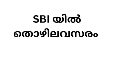 Job Vacancy in SBI | Direct Sales Executive Opportunity in Kerala - Apply Now