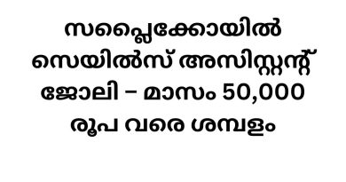 Job Vacancy in Supplico – 2024 Recruitment Drive