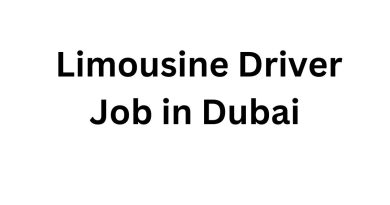 Excellence Limousine Job Opportunity: Professional Driver in Dubai