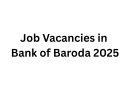 Job Vacancies in Bank of Baroda 2025: Complete Guide to 2700 Apprentice Posts Across India