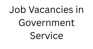 Job Vacancies in Government Service