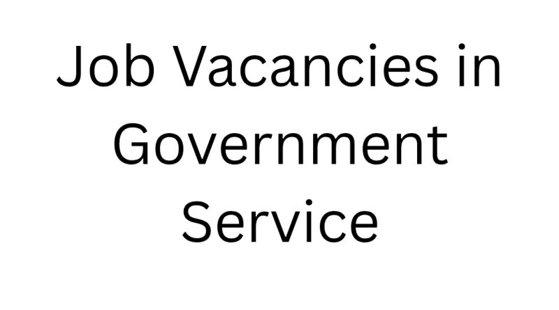Job Vacancies in Government Service