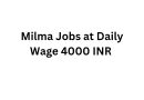 Milma Jobs at Daily Wage 4000 INR