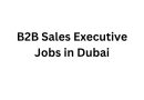 B2B Sales Executive Jobs in Dubai