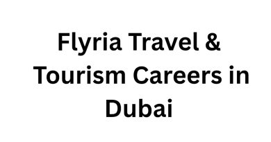 Flyria Travel & Tourism Careers in Dubai