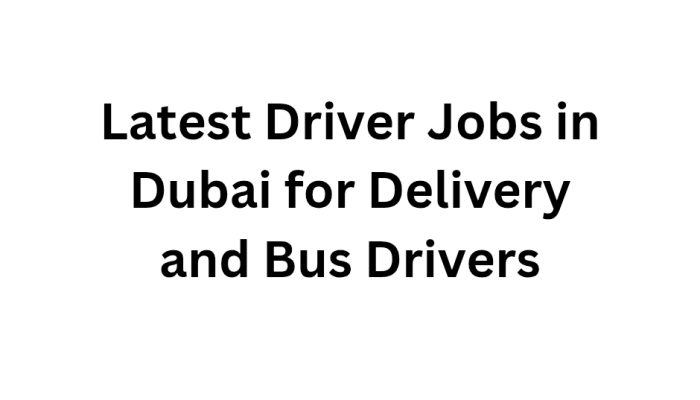 Latest Driver Jobs in Dubai for Delivery and Bus Drivers