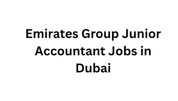 Emirates Group Junior Accountant Jobs in Dubai