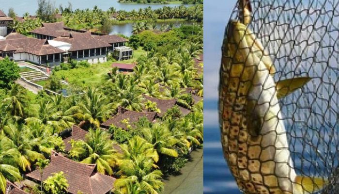 carpico resort : rewind kerala