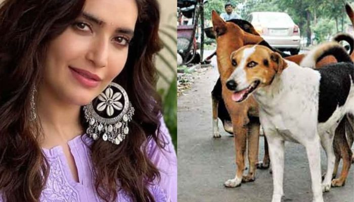 karishma thanna about kerala stray dogs