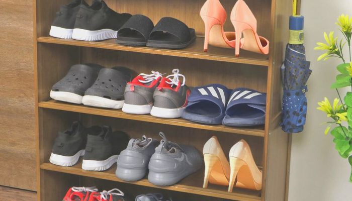vasthu-chappal