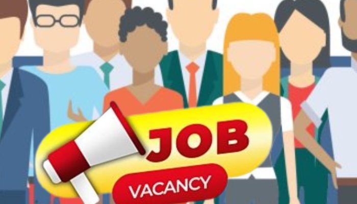 Untitled design (35)