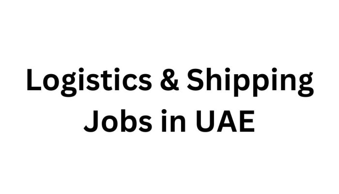 Logistics & Shipping Jobs in UAE