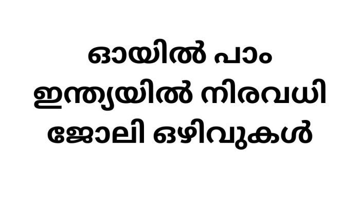 Job Vacancy in Oil Palm India Recruitment