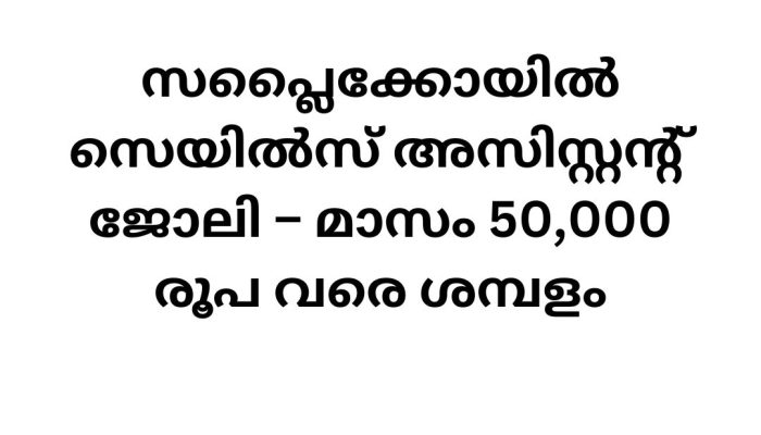 Job Vacancy in Supplico – 2024 Recruitment Drive