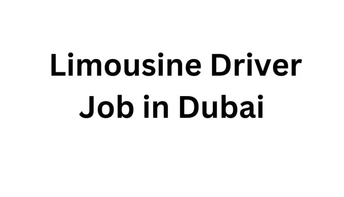 Excellence Limousine Job Opportunity: Professional Driver in Dubai
