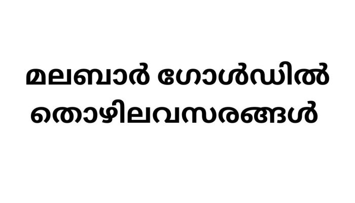 Job Vacancy in Malabar Gold: Exciting Career Opportunities Await You!