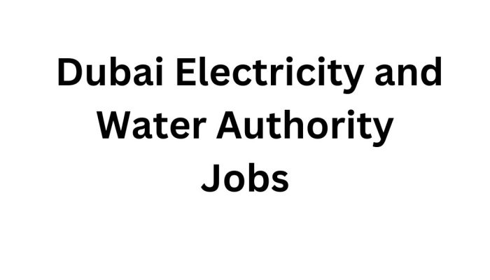 DEWA Careers | Dubai Electricity and Water Authority Registration