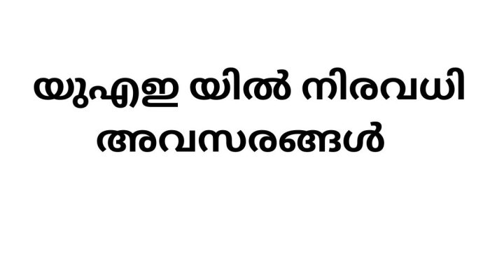 Job Vacancies in UAE – Exciting Career Opportunities in Coremetal Steel Fabrication Division