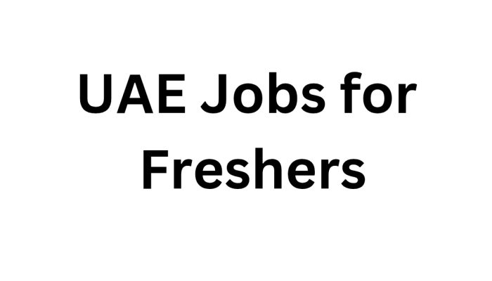 UAE Jobs for Freshers