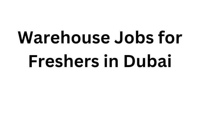 Warehouse Jobs for Freshers in Dubai