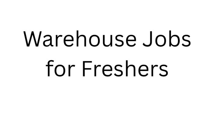 Warehouse Jobs for Freshers