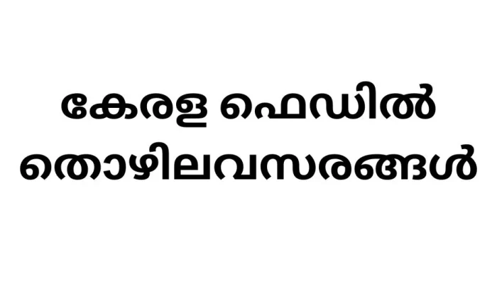 Government Job Vacancies in Kerala Fed: Accountant Position at KERAFED