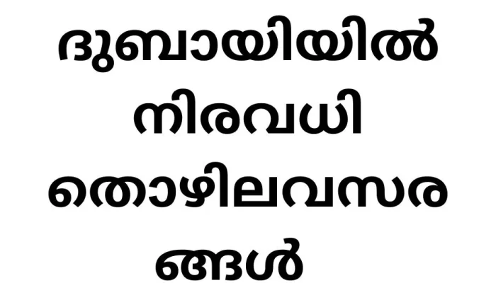 Job Vacancies in Dubai DP World: Your Ultimate Guide to a Successful Career