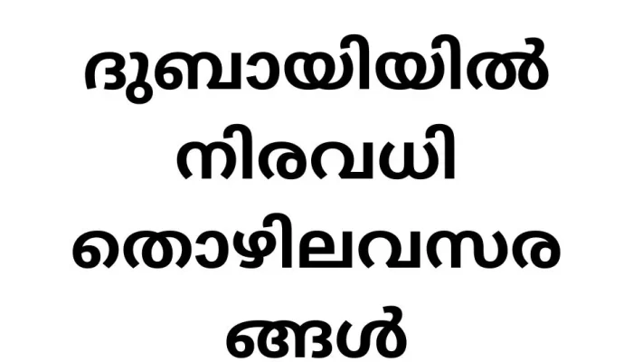 Job Vacancies in Dubai Al Masaood Company: Your Path to a Promising Career