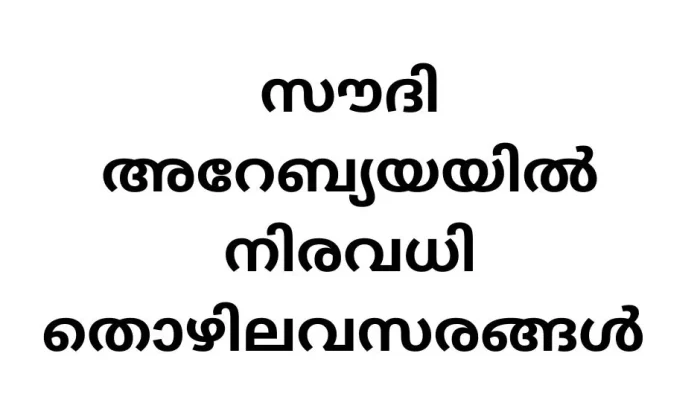 Job Vacancies in Saudi Arabia with Alfanar Group