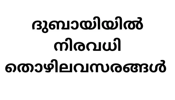 ENOC Careers 2024 in Dubai: Unveiling Opportunities Across the UAE