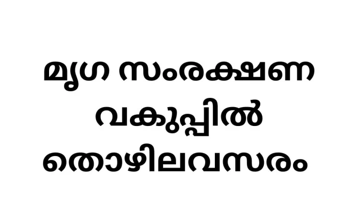 Job Vacancy in Directorate of Animal Husbandry