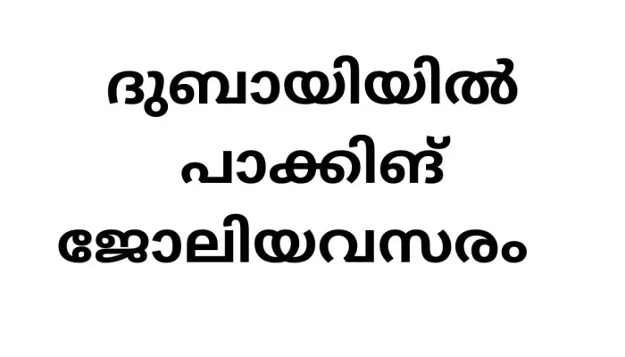 Packing Job Vacancy in UAE: Your Gateway to Overseas Employment