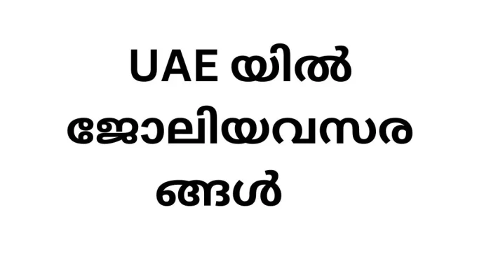 Job Vacancy in UAE: Exciting Opportunities at Gulfex Business Services